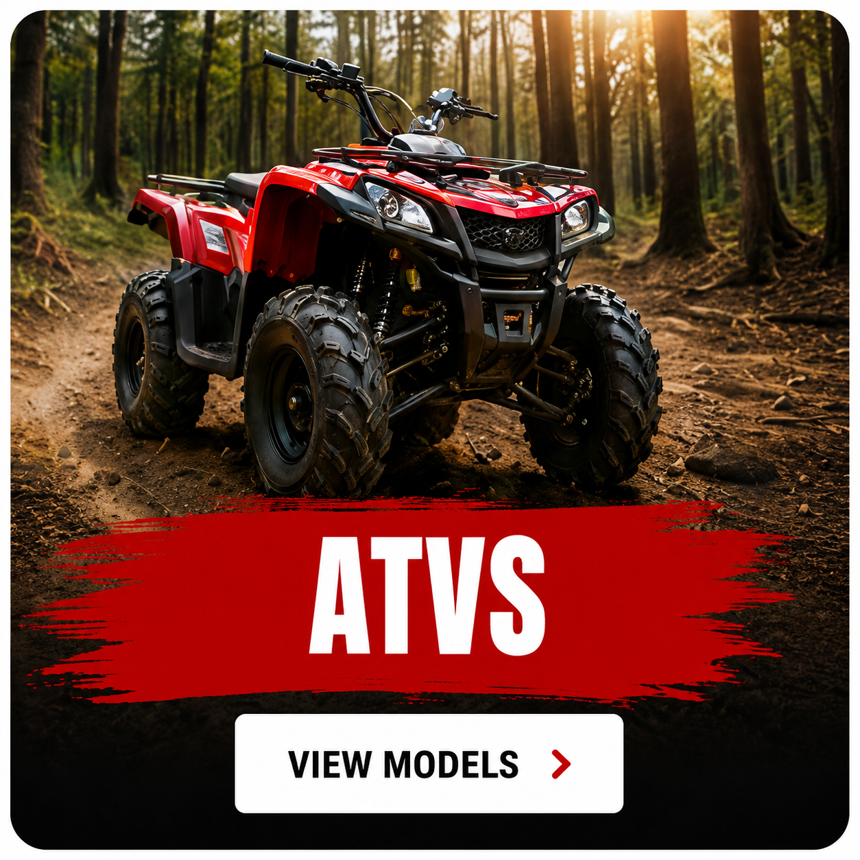 125cc ATV pic for website