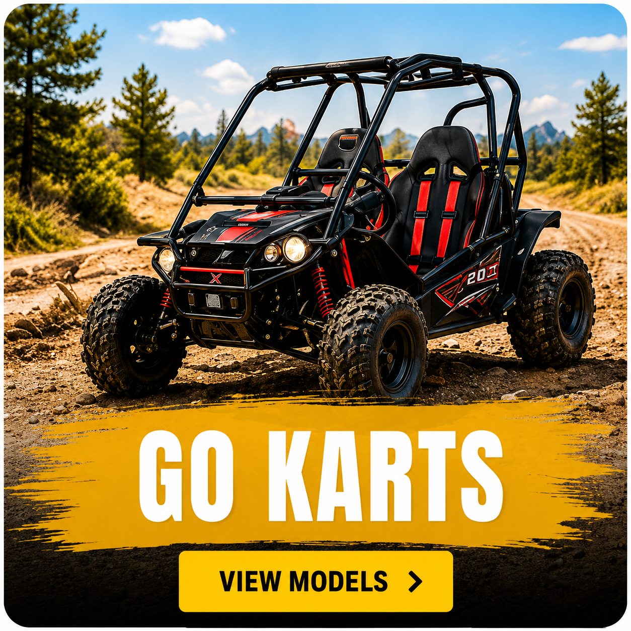 200cc GO KART pic for website